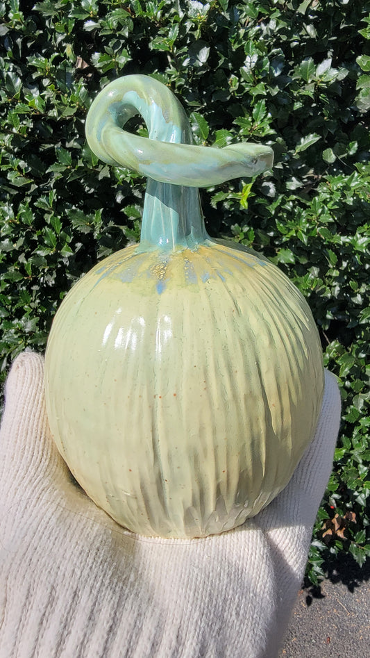 Green stemmed Pumpkin