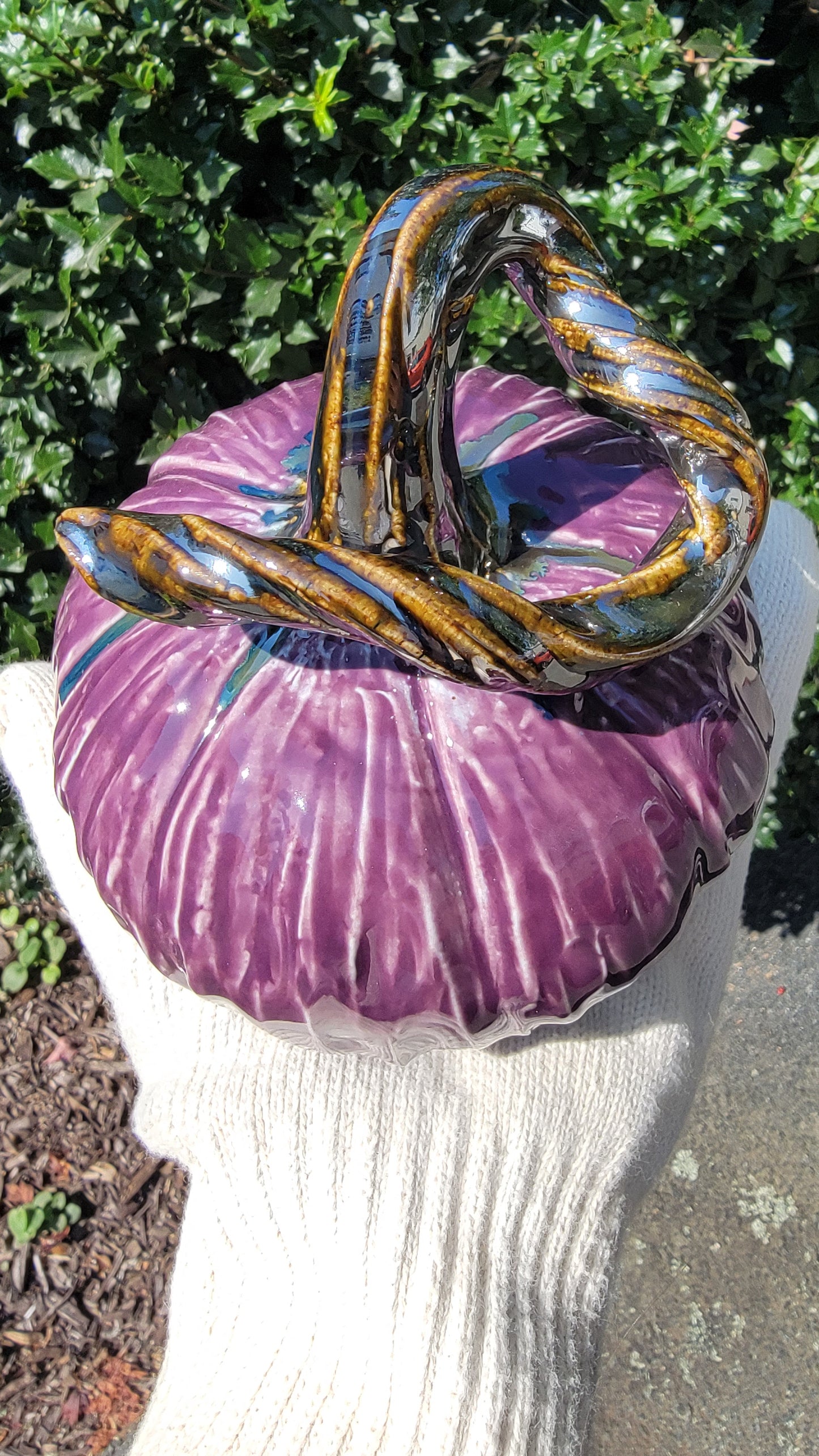 Purple Pumpkin